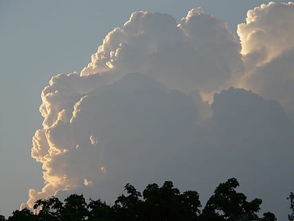 thundercloud, vreme, nor, furtună, redirecţiona, climatologie, meteorologie, periculos, amenințător, mare, puternic, imens, cumulonimbus, cumulus, cumuluswolke, natură, cer, în aer liber, nor - cer, albastru, scenics, Cloudscape, copac, nici o persoana, frumusețe în natură, plantă, vedere unghiulară joasă, scenice - natura, liniște, o scenă liniștită, siluetă, idilic, zi, lumina soarelui, creştere, scenă non-urbană, apus de soare, vârful copacului, 2K, CC0, domeniu public, fără drepturi de autor