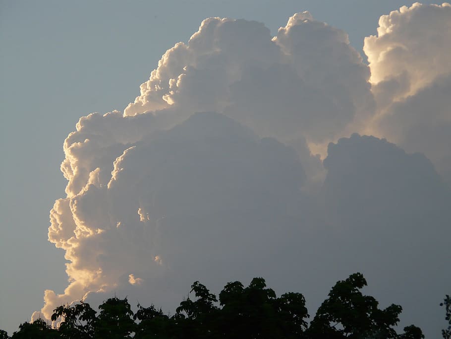 núvol de tempesta, temps, núvol, tempesta, endavant, climatologia, meteorologia, perillós, amenaçador, gran, potent, enorme, cumulonimbus, Cúmulus, cumuluswolke, naturalesa, cel, a l'aire lliure, núvol - cel, blau, escenics, cloudscape, arbre, cap gent, bellesa a la natura, planta, vista d’angle baix, escenics - natura, tranquil·litat, escena tranquil·la, silueta, idíl·lic, dia, llum solar, creixement, escena no urbana, posta de sol, arbre d’arbre, 2K