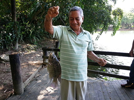 fishing, elder, satisfaction, senior adult, one person, standing, casual clothing, leisure activity, front view, smiling, real people, lifestyles, senior men, adult, males, men, plant, tree, happiness, day, portrait, outdoors, mature men, 2K, CC0, public domain, royalty free