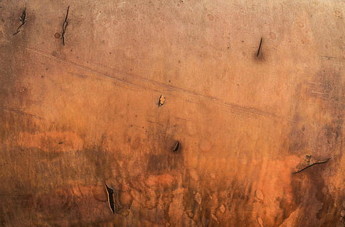 struttura, sfondo, granito, superficie, cementi, legno consumato, legna, vecchio, modello, animale, temi animali, animali allo stato selvatico, fauna selvatica, sfondi, uccello, nessuno, strutturato, natura, vertebrato, fotogramma intero, colore arancione, Marrone, volante, giorno, all'aperto, gruppo di animali, caratteristica della parete, scenics - natura, erba, 2K, CC0, dominio pubblico, privo di copyright