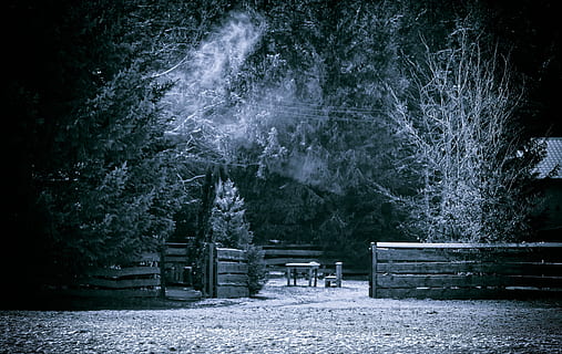 foto in scala di grigi, di legno, recinto, alberi, inverno, la neve, freddo, albero, brina, foresta, Polonia, vista, luce, paesaggio, natura, panchina, scenograficamente, distanziatore, umore, colori, in scena, solitario, solitudine, La bellezza della natura, tramonto, crepuscolo, la nebbia, Fumo, il Sole, fantasticheria, pace della mente, bellezza, penna, turismo, clima, nostalgia, giro, vacanza, il silenzio, colore, i raggi, raggi del sole, aura, buio, climaticamente, cupamente, notte, bianca, ghiaccio, Zers, temperatura, congelato, misterioso, pianta, nessuno, posto a sedere, la tranquillità, architettura, bellezza nella natura, temperatura fredda, terra, all'aperto, legno - materiale, struttura costruita, scenics - natura, parco, panchina del parco, 4K, CC0, dominio pubblico, privo di copyright