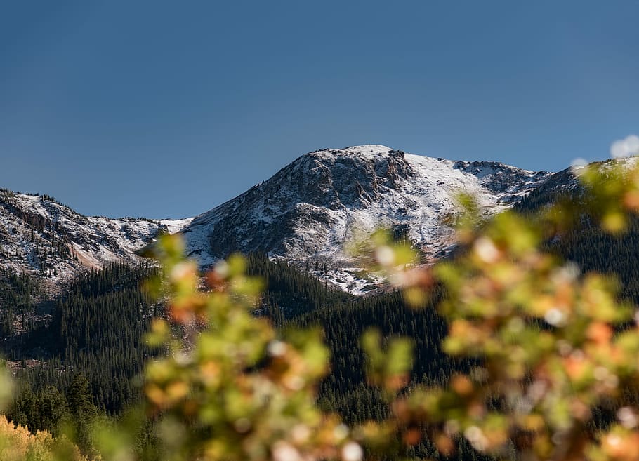 snedækket, bjerg, grøn, træer, bjerge, blå, himmel, træ, Skov, sne, klippe, Snowcap, bjergkæde, colorado, hvid, blad, dyreliv, natur, scenics - natur, skønhed i naturen, plante, skyfri himmel, miljø, jord, solrig, snedækket bjerg, dag, ingen mennesker, selektiv fokusering, landskab, vinter, sollys, udendørs, bjergtop, fyrretræ, nåletræ, 5K
