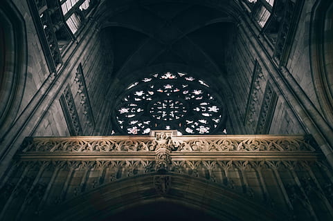 low, angle photography, gray, building, cathedral, interior, view, architecture, infrastructure, church, history, arch, religion, built structure, low angle view, place of worship, indoors, no people, day, belief, the past, spirituality, travel destinations, ceiling, design, glass, architecture and art, architectural column, ornate, directly below, arched, 5K, CC0, public domain, royalty free