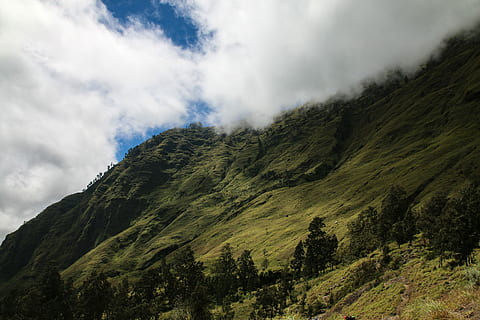 lottando, superiore, foto di paesaggio, montagna, blu, cielo, sfondo, nube, albero, foresta, verde, indonesiano, Rinjani, vulcano, nuvola - cielo, scenics - natura, bellezza nella natura, la tranquillità, scena tranquilla, scena non urbana, catena montuosa, natura, ambiente, nessuno, pianta, paesaggio, giorno, idilliaco, Inquadratura dal basso, all'aperto, picco di montagna, albero di conifere, formazione, 5K, CC0, dominio pubblico, privo di copyright
