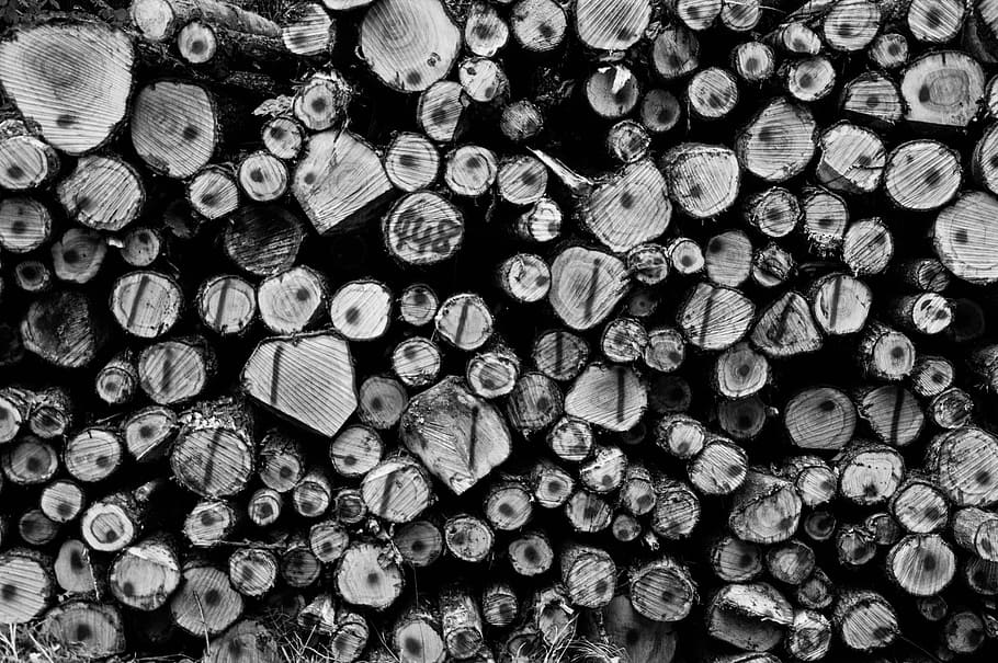 fotografia w skali szarości, kłody z drutu, szczekać, partia, czarny i biały, posiekanych, posiekane drewno, przemysł, lubić, log, dzienniki, stos, ratunek, okrągły, ułożone, ułożone drewno, Zbiory, przechowywanie, tekstura, drzewny, pnie drzew, drewno, stos drewna, praca, pełna ramka, duża grupa obiektów, tła, obfitość, drewno kominkowe, przemysł drzewny, las, drewno - materiał, wylesianie, drzewo, sterta, wytwarzanie paliwa i energii, żadnych ludzi, woodpile, kwestie ochrony środowiska, teksturowane, na dworze, 5K