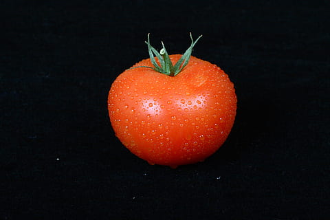 red, tomato, vegetable, food, freshness, ripe, organic, vegetarian Food, fruit, close-up, nature, healthy Eating, food and drink, wellbeing, black background, studio shot, indoors, no people, single object, still life, cut out, water, drop, 2K, CC0, public domain, royalty free