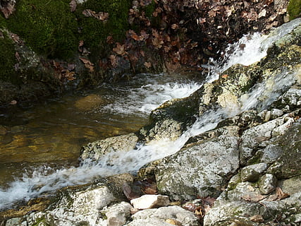 pilis, forest, tour, excursion, the forest, stream, nature, rock, water, solid, flowing water, rock - object, beauty in nature, motion, scenics - nature, flowing, no people, blurred motion, river, day, long exposure, waterfall, land, stream - flowing water, power in nature, outdoors, 2K, CC0, public domain, royalty free