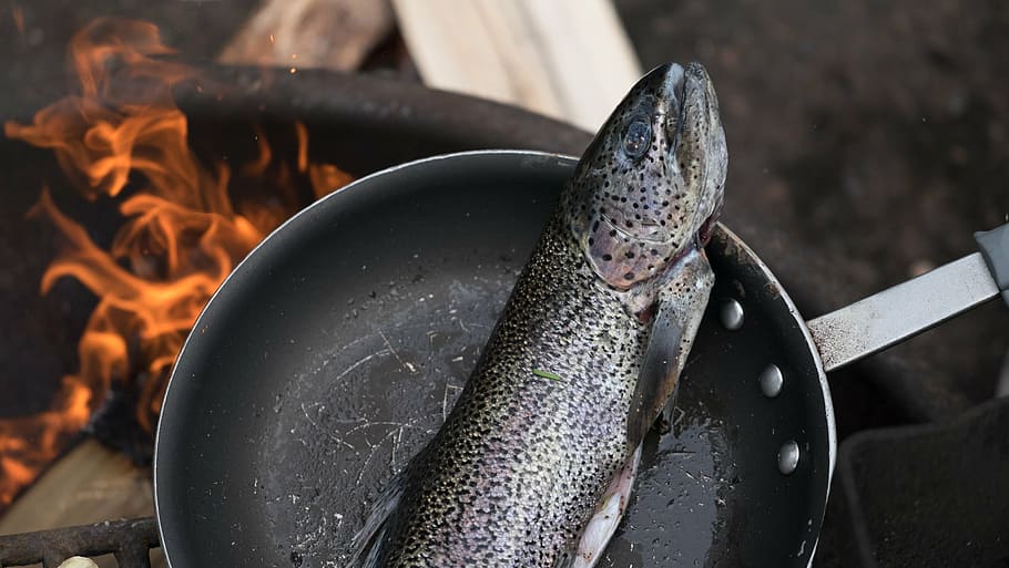foto de primer pla, gris, comestible, peix, negre, fregir, pan, cuinar, olla de cocció, foc, flama, menjar, preparació, marisc, menjar i beguda, cap gent, primer pla, calor - temperatura, alimentació saludable, dia, frescor, animal, centrar-se en primer pla, vertebrats, cremant, foc - fenomen natural, naturalesa, equipament per a la llar, benestar, estri de cuina, metall, 1080P