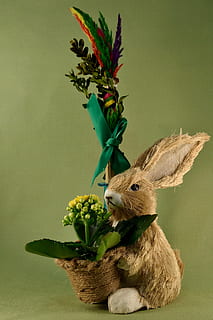 Pasqua, palma, lepre, coniglio - animale, animale, carina, colore verde, pianta, fiore, pianta fiorita, natura, nessuno, decorazione, in casa, rappresentazione animale, coniglietto di Pasqua, uovo di Pasqua, crescita, celebrazione, freschezza, rappresentazione, avvicinamento, foglia, testa di fiore, 4K, CC0, dominio pubblico, privo di copyright