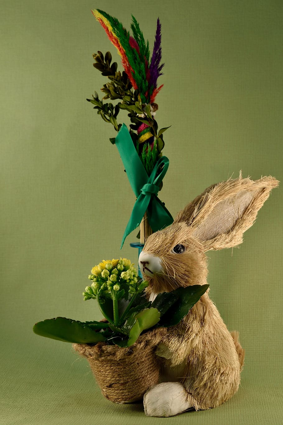 Pasqua, palma, llebre, conill - animal, animal, bonic, color verd, planta, flor, planta amb flors, naturalesa, cap gent, decoració, a l'interior, representació animal, conill de Pasqua, ou de Pasqua, creixement, celebració, frescor, representació, primer pla, full, cap de flor, 4K