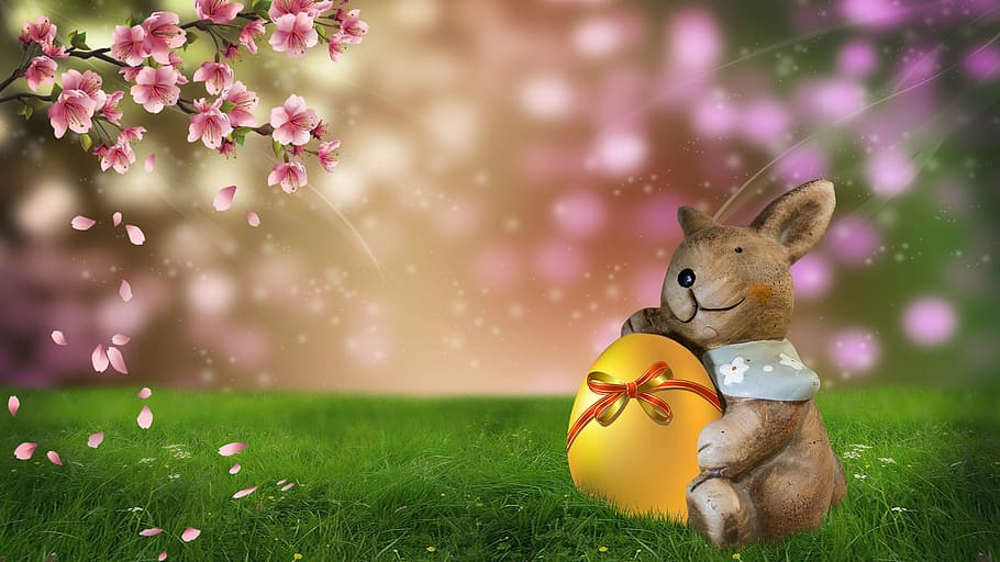 animat, marró, conill, abraçada, ou d'or, assegut, verd, herba, de cara, rosa, fons de pantalla de flors, Pasqua, llebre, naturalesa, flor, animal, planta, celebració, mamífer, conill - animal, temes d'animals, bonic, joguina, conill de Pasqua, festa, vacances - esdeveniment, primavera, cap gent, representació animal, centrar-se en primer pla, creativitat, decoració, a l'aire lliure, porpra, suavitat, 4K
