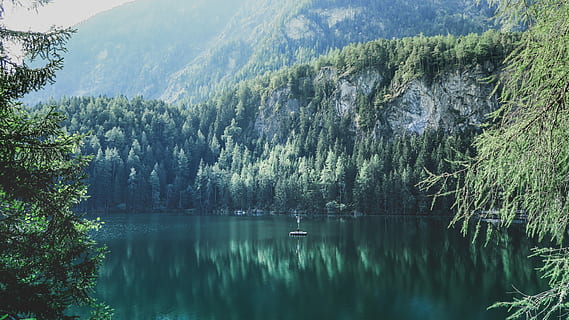 foto, kalmte, lichaam, water, omgeven, bomen, bruin, boot, Bos, meer, reflectie, klif, natuur, alpine, bergtop, Oostenrijk, landschap, boom, digitale afdruk, avontuur, reizen, onderzoeken, ontdekken, fabriek, schoonheid in de natuur, scenics - natuur, rustige scène, berg-, niet-stedelijke scène, idyllisch, dag, geen mensen, groei, waterkant, groene kleur, buitenshuis, 5K, CC0, publiek domein, royaltyvrij