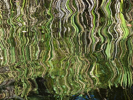 odraz, zkreslení, zkreslený, světlo, povrch, nikdo, voda, pozadí, celý rám, Příroda, zelená barva, jezero, den, venku, vzor, přírodní vzor, krása v přírodě, vícebarevné, rostlina, detail, klid, vysoký úhel pohledu, mokré, 2K, CC0, veřejná doména, bez autorských práv