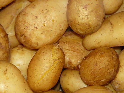 patate, cucinato, cucinare, conchiglia, cibo, mangiare, caldo, biologico, verdura, freschezza, Marrone, patata cruda, avvicinamento, cibo e bevande, mangiare sano, benessere, fotogramma intero, natura morta, sfondi, nessuno, Patata, grande gruppo di oggetti, in casa, cibo crudo, abbondanza, vista dall'alto, mercato, in vendita, cibo vegetariano, 2K, CC0, dominio pubblico, privo di copyright