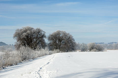 paisatge, hivern, neu, blanc, nevat, màgia de neu, romàntic, arbres, branques, humor d'hivern, chiemgau, temperatura de fred, arbre, cel, planta, bellesa a la natura, escenics - natura, escena tranquil·la, núvol - cel, naturalesa, tranquil·litat, Color blanc, cap gent, escena no urbana, el camí a seguir, transport, cobertura, a l'aire lliure, 4K, CC0, domini públic, lliure de regalies