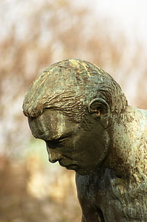 Paryż, popiersie, statua, rzeźba, historia, znane miejsce, pomnik, architektura, jedno zwierzę, zbliżenie, żadnych ludzi, zwierzęca przyroda, sztuki i rzemiosła, skupić się na pierwszym planie, reprezentacja, dzień, kreatywność, ludzka reprezentacja, rzemiosło, na dworze, Natura, zwierzęta na wolności, ptak, kręgowiec, 4K, CC0, domena publiczna, darmowe zdjęcia