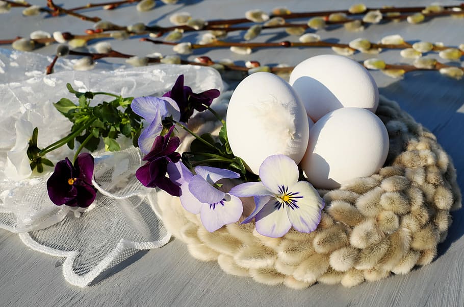 porpra, flor de pètal, ous, niu de tela, ous de Pasqua, ou, blanc, niu de Pasqua, niu, llagosta de salze, pensament, colorit, Pasqua, Feliç Pasqua, decoracions de pasqua, costums, salutació de pasqua, primavera, planta amb flors, flor, vulnerabilitat, fragilitat, planta, frescor, bellesa a la natura, naturalesa, Color blanc, cap gent, primer pla, celebració, pètal, ou de Pasqua, festa, inflorescència, cap de flor, a l'aire lliure, suavitat, còdols, arranjament floral, 4K
