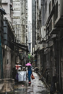 mand, iført, blå, skrubbe, dragt, høj, stige bygninger, højhus bygninger, mennesker, urban scene, gade, bygget struktur, kulturer, fattigdom, by, bygning udvendig, arkitektur, to personer, gå, bygning, rigtige mennesker, bagfra, boligområde, dag, fuld længde, Kvinder, tøj, våd, livsstil, byliv, udendørs, voksen, regn, regntiden, gyde, 5K, CC0, offentligt domæne, royaltyfrie