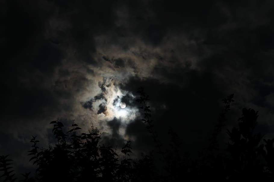 lluna, coberta, núvols, cuc, fotografia de vista visual, arbres, nit, lluna nova, negre, núvol, fosc, ennuvolat, naturalesa, temps, núvol - cel, cel, tempesta, cloudscape, cel dramàtic, fantasmal, malhumorat, a l'aire lliure, llum de la lluna, fons, horror, espai, color negre, ominós, cap gent, silueta, bellesa a la natura, vista d’angle baix, tranquil·litat, arbre, planta, escenics - natura, vespre, lluna plena, 4K