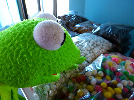 kermit, granota, compres, caramels, deliciós, colorit, a l'interior, menjar i beguda, menjar, primer pla, cap gent, natura morta, elecció, joguina de peluix, centrar-se en primer pla, variació, menjar dolç, llana, festa, dolç, enfocament selectiu, celebració, representació, dia, temptació, 4K, CC0, domini públic, lliure de regalies