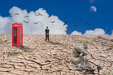 desolation, sadness, indifference, sky, nature, bird, vertebrate, one person, men, full length, animal wildlife, cloud - sky, environment, flying, rear view, land, group of animals, day, animals in the wild, standing, climate, outdoors, flock of birds, arid climate, digital composite, 4K, CC0, public domain, royalty free