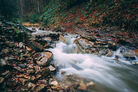 fiume, longexposure, autunno, acqua, acqua corrente, foresta, scenics - natura, bellezza nella natura, movimento, lunga esposizione, movimento sfocato, roccia - oggetto, natura, roccia, solido, terra, albero, fluente, nessuno, ambiente, cascata, flusso - acqua che scorre, all'aperto, foresta pluviale, purezza, potere in natura, 5K, CC0, dominio pubblico, privo di copyright
