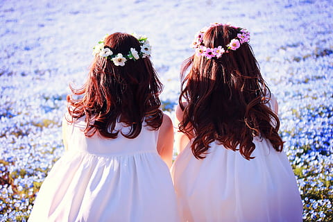 Două, fete, purtare, rochie fără mâneci, floral, Banda de susținere, ședință, Violet, grădină de flori cu flori, fără mâneci, rochie, gradina cu flori, femei, în aer liber, oameni, femele, etnie caucaziană, natură, zâmbitor, fericire, vară, adult, tânăr adult, frumuseţe, bine dispus, frumos, o persoana, stiluri de viață, distracţie, drăguţ, doi oameni, doar femei, păr șaten, par lung, doar adulți, resolidarizare, proaspăt căsătorit, floare, mireasă, nuntă, coafura, planta cu flori, celebrare, zi, purtând flori, emoţie, plantă, eveniment, vedere din spate, păr, emoție pozitivă, 1080P, CC0, domeniu public, fără drepturi de autor