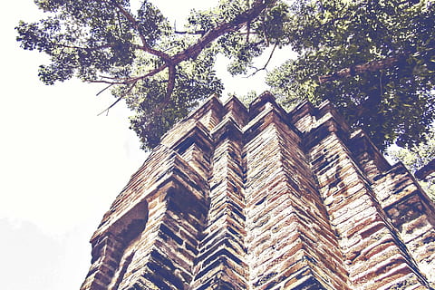 edifici, maons, arquitectura, arbre, antic, paret de maó, tir en angle baix, perspectiva, vista d’angle baix, estructura construïda, exterior de l'edifici, planta, cel, dia, naturalesa, cap gent, branca, a l'aire lliure, creixement, alta - alta, torre, lloc de culte, història, religió, el passat, concret, 5K, CC0, domini públic, lliure de regalies