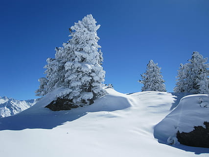 sneeuw, winter, berg-, winters, boom, winterdroom, koude temperatuur, scenics - natuur, schoonheid in de natuur, hemel, blauw, fabriek, witte kleur, natuur, dag, bevroren, dennenboom, niet-stedelijke scène, heldere lucht, rustige scène, landschap, naaldboom, geen mensen, buitenshuis, met sneeuw bedekte berg, dennenbos, bergtop, 4K, CC0, publiek domein, royaltyvrij