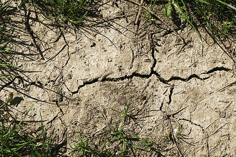 arabil, sol, Halme, uscat, Pământ, lut, fisuri, secetă, deshidratat, textură, model, structura, ierburi, crăpat, agricultură, sol uscat, natură, plantă, copac, nici o persoana, creştere, zi, teren, ramură, fundaluri, texturată, liniște, în aer liber, cadru complet, vedere în unghi mare, scenice - natura, lumina soarelui, a închide, camp, arid clima, 5K, CC0, domeniu public, fără drepturi de autor