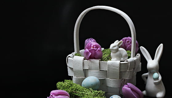 dos, blanc, ceràmica, conillets de pasqua, cistella de vímet, llebre, conill de Pasqua, Pasqua, primavera, figura, tulipes, porpra, tulipes morades, flors morades, cistella, osterkorb, Pasqua körbchen, decoració, decoració de pasqua, molsa, ou, blau, ous blaus, dekoeier, deco, Feliç Pasqua, salutació de pasqua, tema de pasqua, costums, invitació, estat de Pasqua, salutacions de pasqua, tradició, consum de primavera, mapa, targeta de felicitació, postal, salutació, flors, menjar, flor, tir de l'estudi, planta, contenidor, planta amb flors, cap gent, celebració, fons negre, color rosa, a l'interior, frescor, naturalesa, variació, menjar i beguda, natura morta, primer pla, elecció, test de flor, arranjament floral, 4K, CC0, domini públic, lliure de regalies