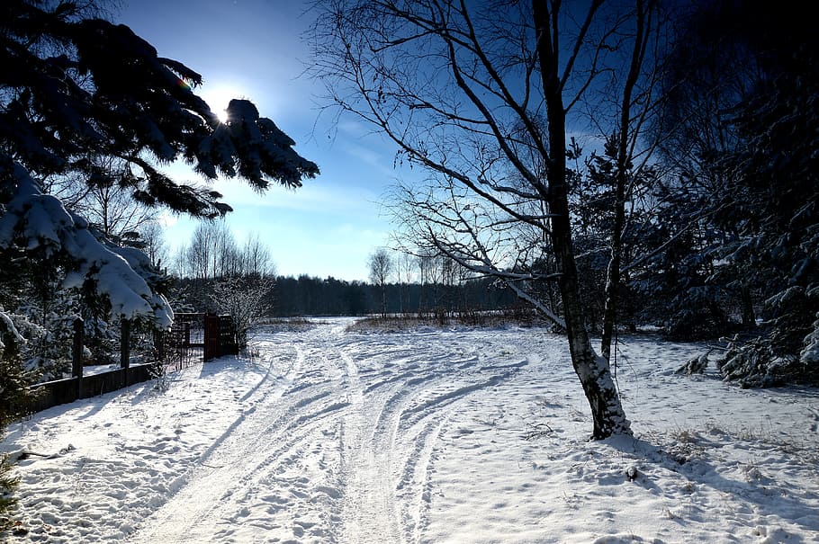 metsä, lumi, talvi-, puu, maisema, luonto, Puola, valkoinen, halla, taivas, havupuu-, ala, lunta puussa, viehätys, kylmä - lämpötila, ulkona, scenics, maaseudulla, ei-kaupunkikuvia, ei ihmisiä, tie, jää, kylmä lämpötila, kasvi, kauneus luonnossa, maisemat - luonto, tyyneys, valkoinen väri, maa, päällyste, rauhallinen kohtaus, ympäristö, paljas puu, lumiset vuoret, 5K