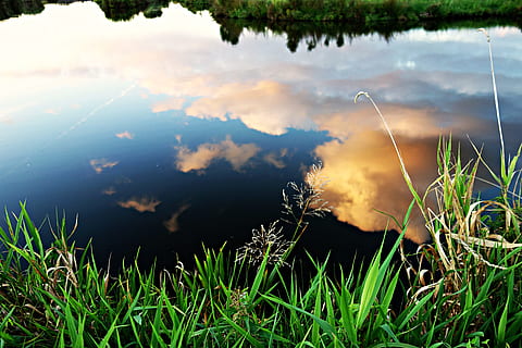 riflessione, bianca, nuvole, stagno, ambiente, erba, lago, prato, luce, natura, all'aperto, riflessi, fiume, cielo, estate, alberi, acqua, pianta, crescita, la tranquillità, nessuno, bellezza nella natura, giorno, nuvola - cielo, scenics - natura, scena tranquilla, albero, luce del sole, scena non urbana, filo d'erba, inquinamento, 4K, CC0, dominio pubblico, privo di copyright