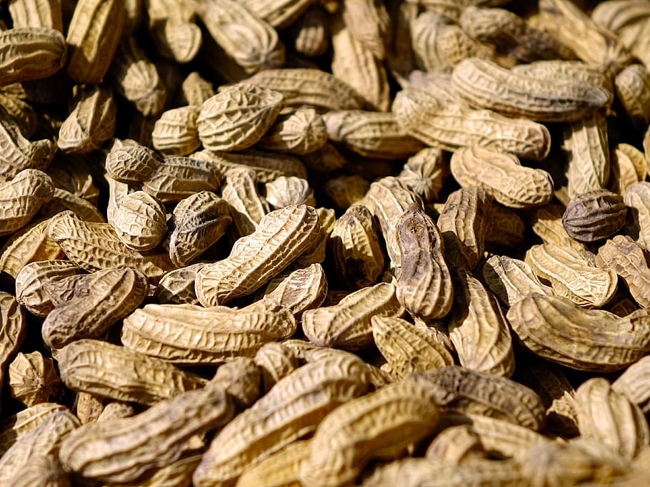 arachidi, noccioline, spuntino, crepa, conchiglia, cibo, Marrone, asciutto, grande gruppo di oggetti, cibo e bevande, abbondanza, fotogramma intero, sfondi, freschezza, Noce, natura morta, nessuno, avvicinamento, mangiare sano, mercato, Al dettaglio, attività commerciale, benessere, in casa, messa a fuoco selettiva, mucchio, consumismo, 4K