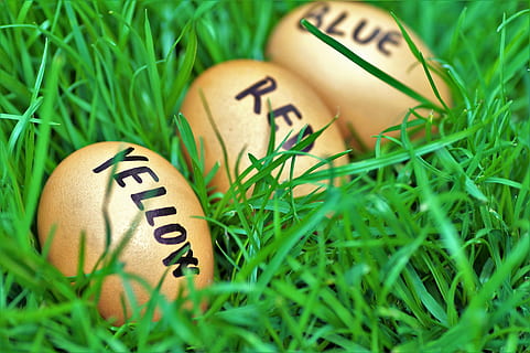 Ostern, Eier, Ostereier, Scherz, Eier färben, Osterzeit, Frühling, im Gras, Peitsche, die tradition von, lustig, Urlaub, grüne Farbe, Gras, selektiver Fokus, Pflanze, Text, Ei, Essen und Trinken, Lebensmittel, Kommunikation, Natur, keine Leute, Land, Feier, Nahansicht, Veranstaltung, westliche Schrift, Botschaft, Grashalm, 5K, CC0, gemeinfrei, lizenzfrei