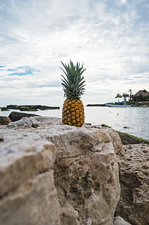 ananas, dessert, forrett, frukt, juice, avling, stein, natur, skyer, himmel, vann, tropisk frukt, spise sunt, mat og Drikke, sky - himmel, mat, hav, velvære, dag, anlegg, ingen folk, fast, rock-objekt, friskhet, utendørs, 5K, CC0, offentlig domene, opphavsrett gratis