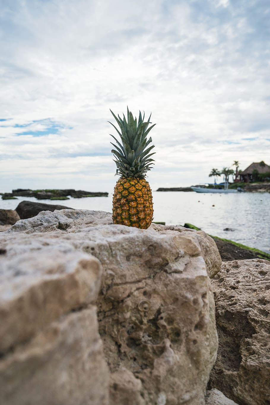 ananas, dessert, forrett, frukt, juice, avling, stein, natur, skyer, himmel, vann, tropisk frukt, spise sunt, mat og Drikke, sky - himmel, mat, hav, velvære, dag, anlegg, ingen folk, fast, rock-objekt, friskhet, utendørs, 5K