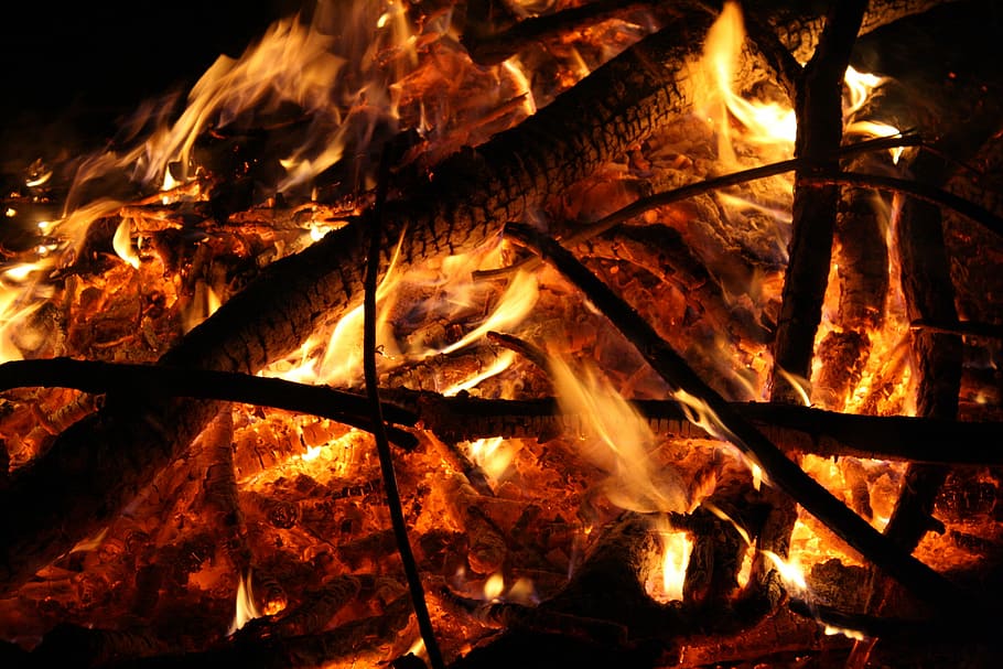 ild, flamme, træ, ild, flamme, træ brand, varme - temperatur, brænding, nat, ingen mennesker, grill, brand - naturligt fænomen, træ - materiale, Brænde, log, bål, natur, Camping, orange farve, tæt på, glødende, lejrbål, bevægelse, fuld ramme, helvede, 4K