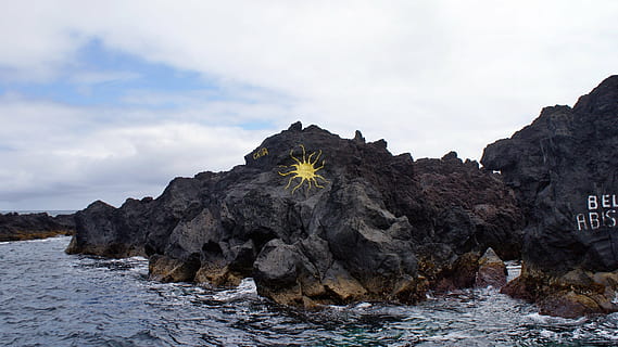 biscotti, terzo, Azzorre, scogliere, mar, estate, oceano, natura, mare, roccia - oggetto, roccia, solido, acqua, cielo, formazione rocciosa, terra, nessuno, bellezza nella natura, nuvola - cielo, spiaggia, giorno, all'aperto, temi animali, fauna selvatica, animali allo stato selvatico, scenics - natura, marino, 4K, CC0, dominio pubblico, privo di copyright