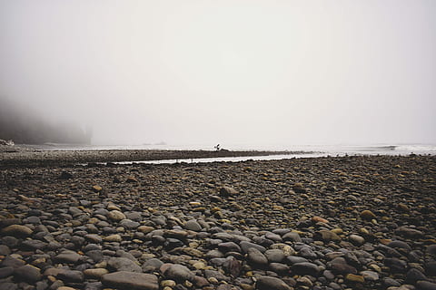 brun, klippig, strandlinje, dagtid, grå, stenstenar, strand, småsten, stenar, himmel, moln, dimma, vatten, hav, vågor, sten, wafe, natur, dyster, surfing, fast, landa, stenobjekt, rock-objekt, dag, inget folk, lugn plats, lugn, skönhet i naturen, kopiera utrymme, utomhus, ytanivå, 5K, CC0, offentligt domän, royaltyfria