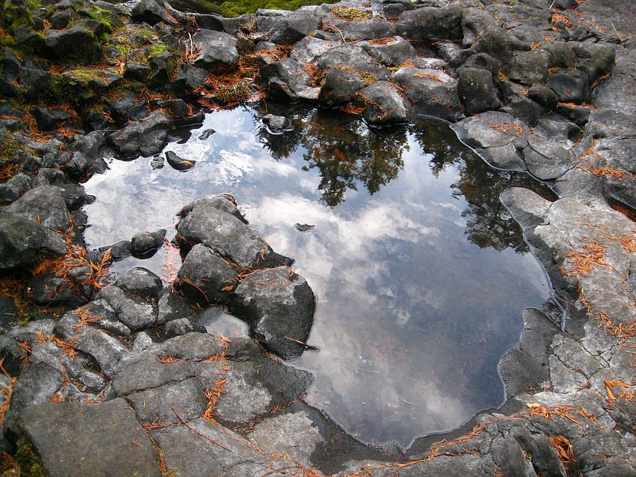 reflexió, bassal, piscina de marea, platja, oregon, Costa, aigua, humit, mirall, cel, naturalesa, rock - object, cap gent, a l'aire lliure, dia, rock, sòlid, vista d’angle alt, llac, tranquil·litat, bellesa a la natura, planta, pedra, aigua estancada, poc profund, aigua que flueix, puresa, 2K