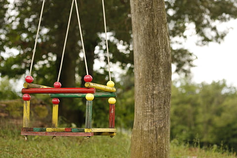 swing, arbre, parc, jugar, parc infantil, oci, camp, a l'aire lliure, planta, centrar-se en primer pla, naturalesa, dia, penjant, infància, tronc de l'arbre, parc - l'home va fer espai, absència, terra, tronc, equip de joc a l'aire lliure, herba, diversió, 4K, CC0, domini públic, lliure de regalies