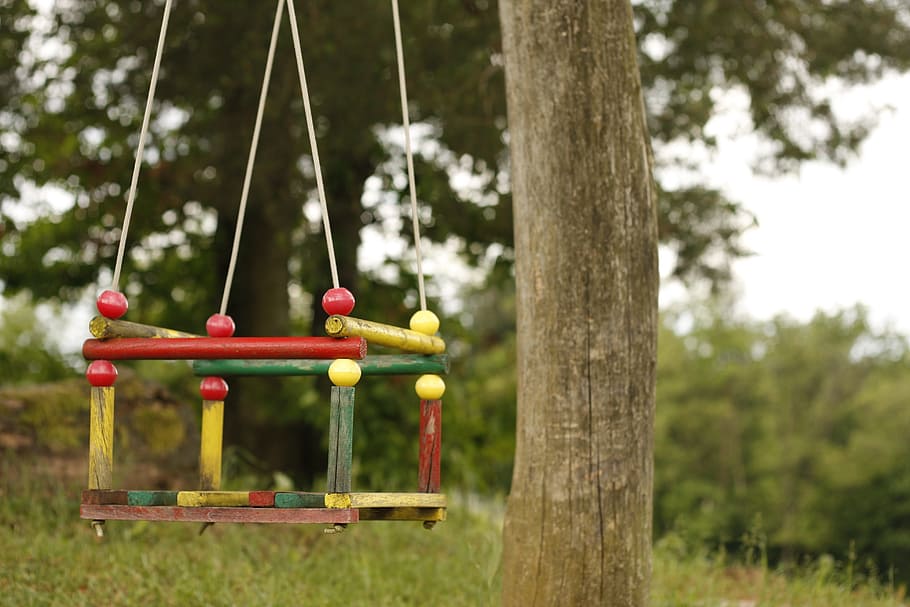 swing, arbre, parc, jugar, parc infantil, oci, camp, a l'aire lliure, planta, centrar-se en primer pla, naturalesa, dia, penjant, infància, tronc de l'arbre, parc - l'home va fer espai, absència, terra, tronc, equip de joc a l'aire lliure, herba, diversió, 4K