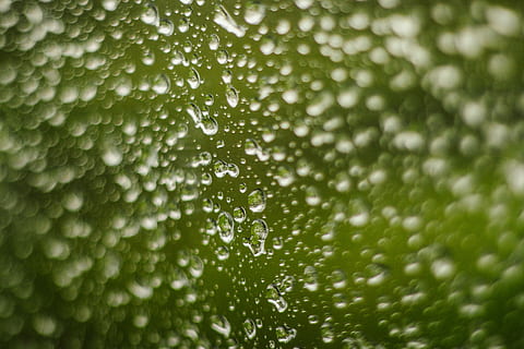 tæt på, fotografering, dug, dråber, selektiv, fokus fotografering, vand, glasoverflade, regndråbe, regn dråber, bevægelse, sløring, motion blur, plante, dråbe, natur, ingen mennesker, friskhed, våd, grøn farve, baggrunde, regn, fuld ramme, selektiv fokusering, vækst, skønhed i naturen, dag, plante del, udendørs, regntiden, renhed, sner, 5K, CC0, offentligt domæne, royaltyfrie