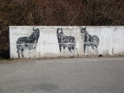 lupi, montagna, murales, parete, disegno, draffiti, mono, nessuno, graffiti, creatività, strada, giorno, arte e artigianato, mezzi di trasporto, caratteristica della parete, città, architettura, struttura costruita, testo, natura, all'aperto, comunicazione, sentiero, arte di strada, vecchio, 2K, CC0, dominio pubblico, privo di copyright