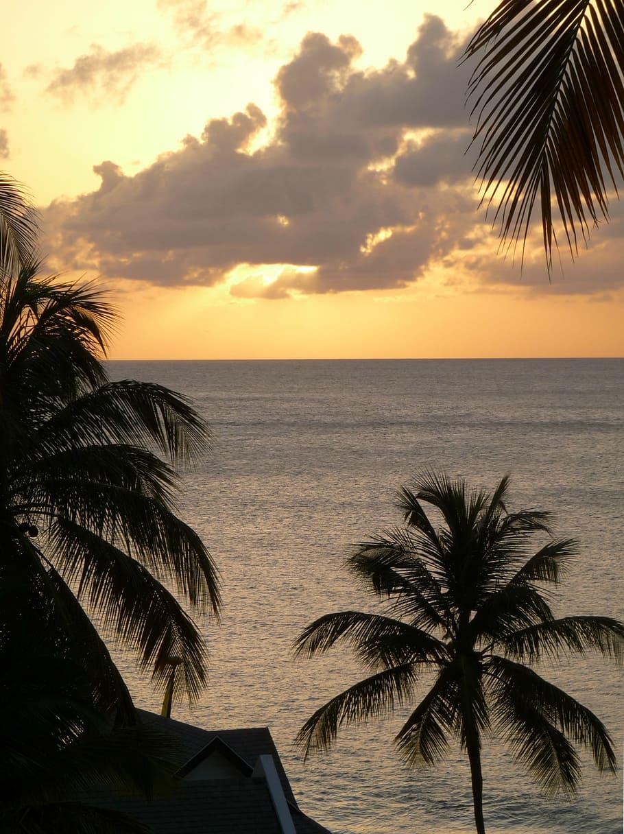verd, arbre de coco, cos, aigua, cos d'aigua, posta de sol, núvols, cel, posta de sol daurada, mar, oceà, palmell, vacances, romàntic, tropical, tròpics, fora, naturalesa, terrats, Resort, st lucia, Carib, platja, Palmera, clima tropical, estiu, idíl·lic, cap gent, llocs de viatges, destinacions de viatge, viatjar, a l'aire lliure, illa, línia de costa, arbre, escenics, horitzó sobre l’aigua, escenics - natura, horitzó, bellesa a la natura, tranquil·litat, escena tranquil·la, núvol - cel, terra, planta, silueta, fulla de palma, palmera de coco, 2K