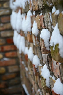 mattone, cantina, inverno, la neve, nessuno, temperatura fredda, avvicinamento, giorno, concentrarsi sulle conoscenze acquisite, messa a fuoco selettiva, grande gruppo di oggetti, parete, legno - materiale, muro di mattoni, caratteristica della parete, struttura costruita, all'aperto, architettura, congelato, Colore bianco, 2K, CC0, dominio pubblico, privo di copyright
