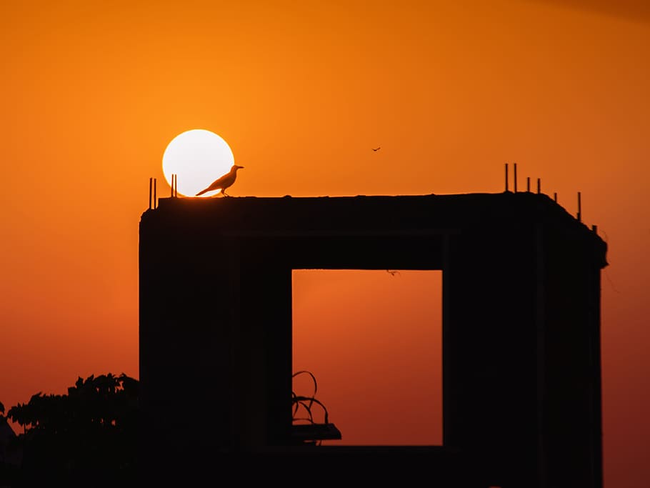 Sonnenuntergang, Orange, Himmel, Sonne, Natur, Sonnenlicht, Dämmerung, rot, Abend, Farbe, Gelb, Horizont, bunt, Silhouette, dramatisch, Vogel, orange Farbe, gebaute Struktur, die Architektur, draußen, keine Leute, Gebäudehülle, Dramatischer Himmel, Transport, kopieren sie platz, Szenen - Natur, Tor, Reise, Kraftstoff- und Stromerzeugung, 4K