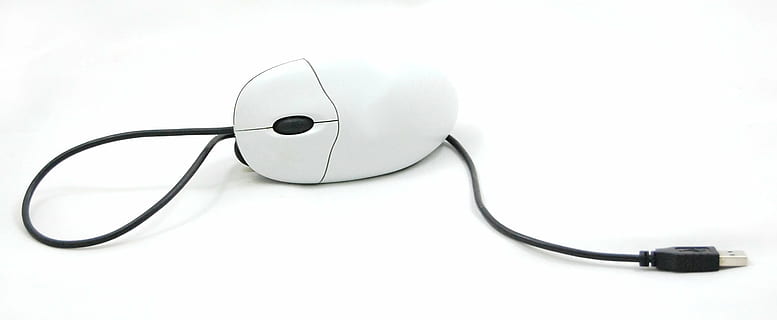 sort, hvid, trådede, mus, computer, det, udstyr, computere, komponenter, teknologi, computermus, kabel, enkelt objekt, forbindelse, computerudstyr, meddelelse, skåret ud, computer kabel, computer netværk, trådløs teknologi, internet, hvid farve, elektronikindustrien, global kommunikation, medicinske forsyninger, hører efter, forretning, ingen mennesker, elektricitet, elektrisk udstyr, 2K