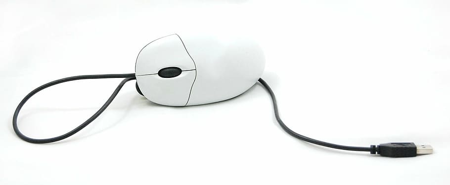 negre, blanc, corda, ratolí, ordinador, això, equipament, ordinadors, components, tecnologia, Ratolí de l'ordinador, cable, sol objecte, connexió, equips informàtics, comunicació, tallar, cable d’ordinador, xarxa d’ordinadors, tecnologia sense fils, Internet, Color blanc, indústria electrònica, comunicacions globals, subministraments mèdics, escoltar, negocis, cap gent, electricitat, equipament elèctric, 2K